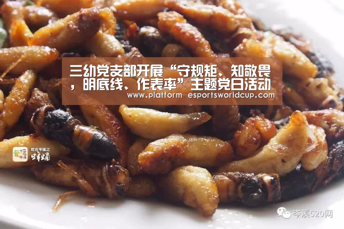三幼党支部开展“守规矩、知敬畏,明底线、作表率”主题党日活动_世界赛官网(图3) 英雄联盟世界赛