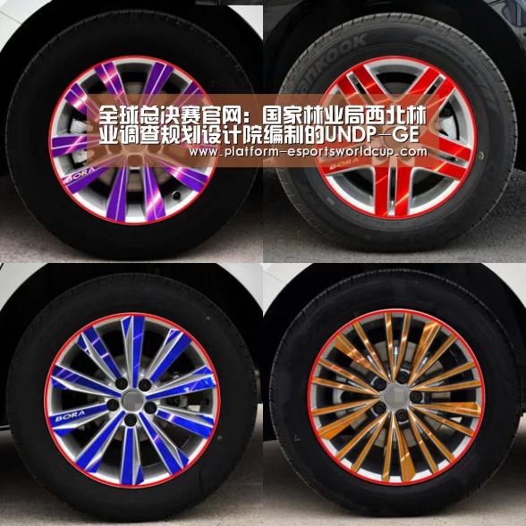 全球总决赛官网:国家林业局西北林业调查规划设计院编制的UNDP-GEF湿地项目合同成果通过评审验收(图1) 全球总决赛官网