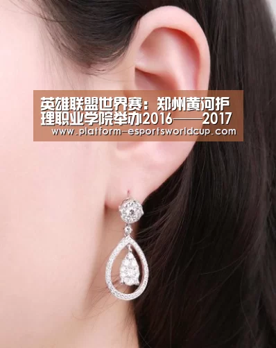 英雄联盟世界赛:郑州黄河护理职业学院举办2016——2017学年校园文化艺术节晚会(图2) 世界赛官网