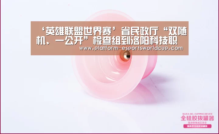 ‘英雄联盟世界赛’省民政厅“双随机、一公开”检查组到洛阳科技职业学院检查指导工作(图3) 全球总决赛官网