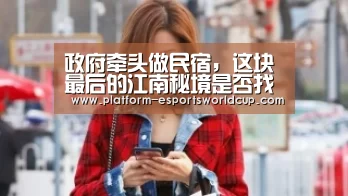 政府牵头做民宿,这块最后的江南秘境是否找到了致富捷径:英雄联盟世界赛(图1) 世界赛官网